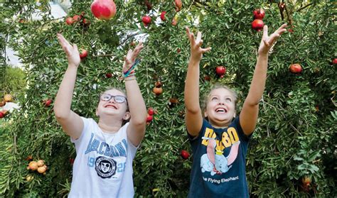 Rosh Hashanah: Food traditions of the Jewish High Holy Days - The Jerusalem Post