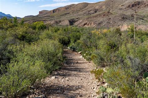 Discovering the Rich History of Big Bend National Park: Major Historic Sites You Can't Miss ...