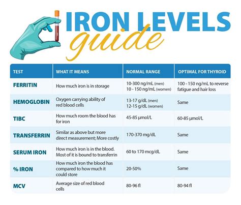 A Deep Dive On Iron | Dr. Alan Christianson | Thyroid, Thyroid health, Thyroid symptoms