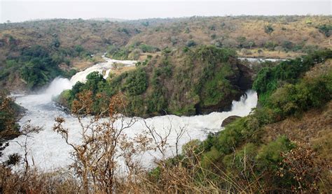 The White Nile has its origins in Lake Victoria, Uganda