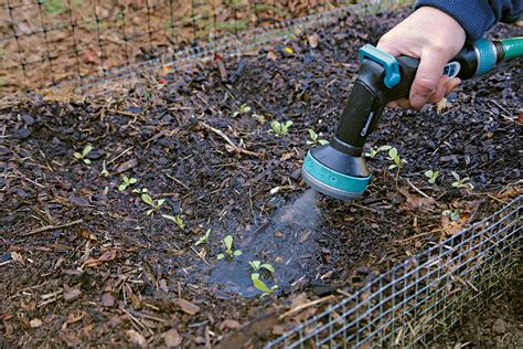 The Science of Seed Starting - Fine Gardening