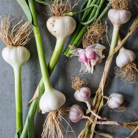 How to Cut Garlic | EatingWell