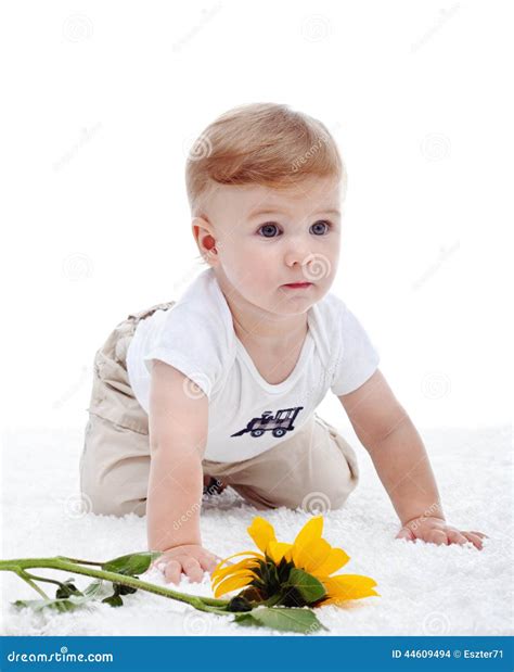 Baby boy and the sunflower stock photo. Image of caucasian - 44609494