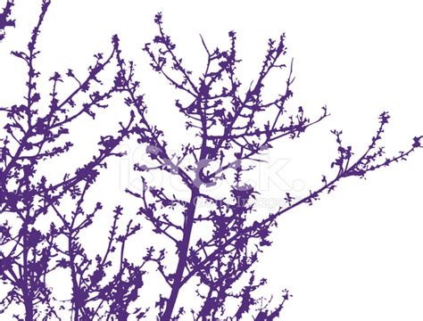 Blossom Tree - Vector Stock Photo | Royalty-Free | FreeImages