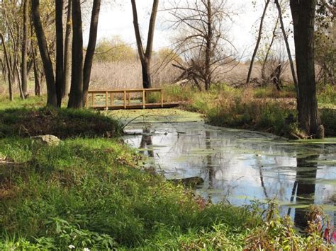 Best Natural Oasis: Hegewisch Marsh – South Side Weekly