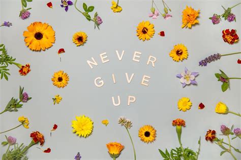 Never Give Up, Motivational Wallpaper for Wall - Magic Decor