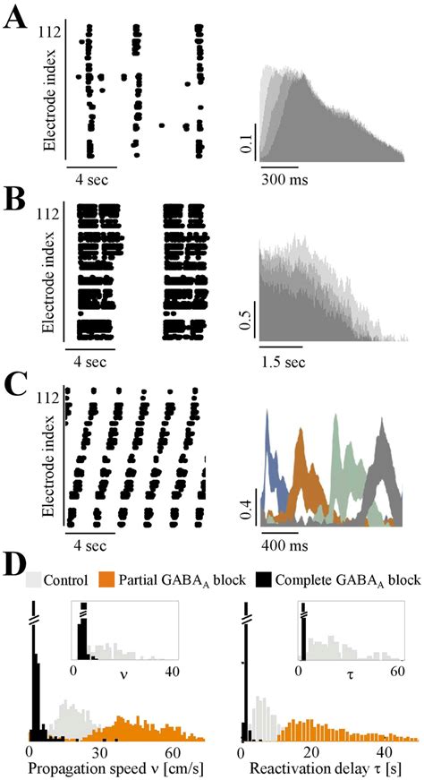 Manipulating characteristic length scale by disinhibition. (A) Left ...