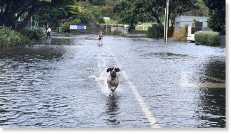 Ex Cyclone Fehi causes major flooding in New Zealand — Earth Changes — Sott.net