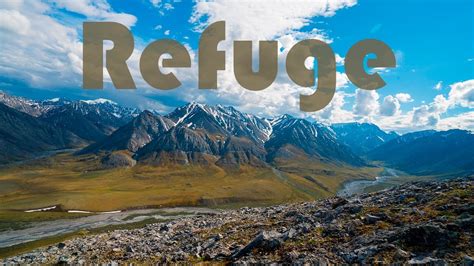 Refuge | Short Film in Alaska's Arctic National Wildlife Refuge - Moldy Chum