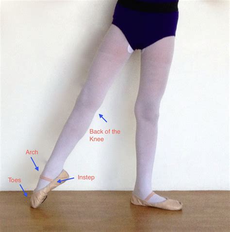 Reanaissance: Ballet Steps for the Young Dancer : Battement Tendu