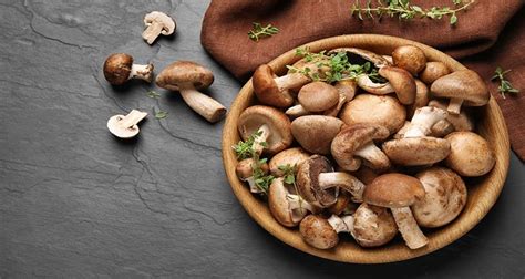 Shiitake Mushroom Benefits - Nutrition and Some Of Its Benefits