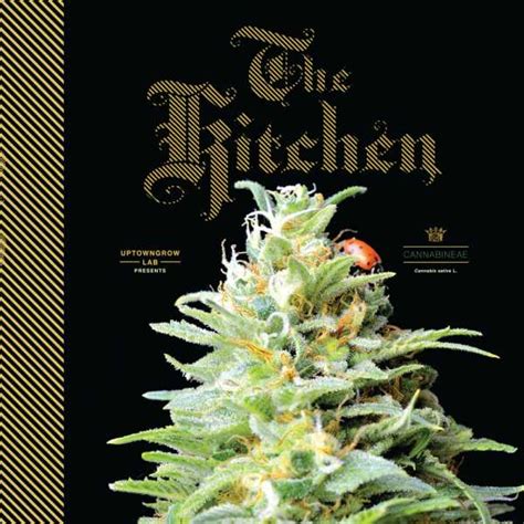 Review of The Kitchen (9780989558402) — Foreword Reviews