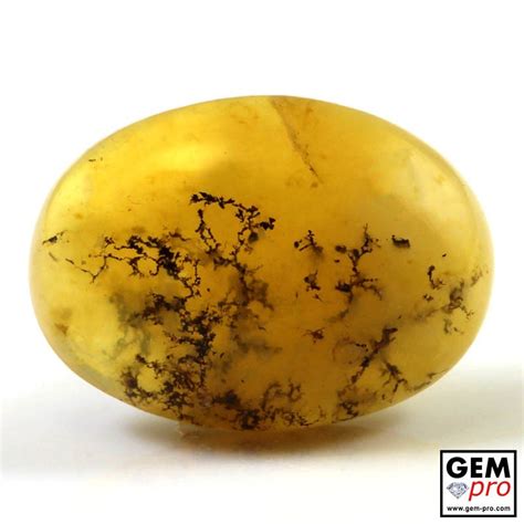 14.53 ct Yellow Dendritic Moss Opal