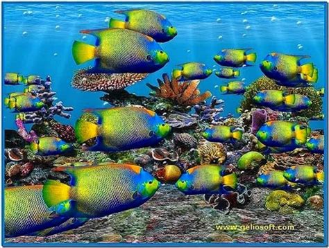 Fish aquarium 3d screensaver full version - Download free