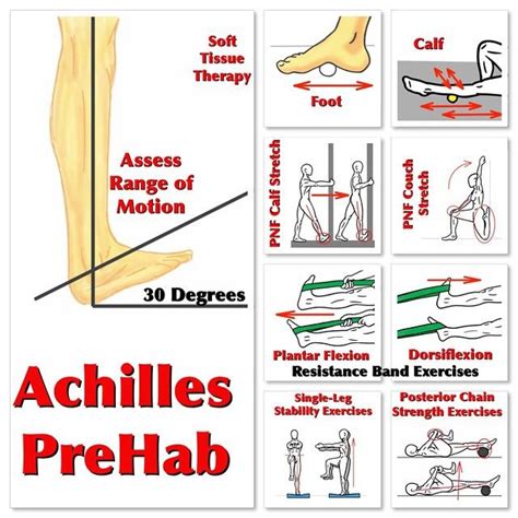 Achilles Tendon Prehab Unfortunately, I have ruptured my Achilles (twice) while playing/training ...