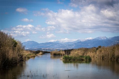 √ Albufera Natural Park Mallorca