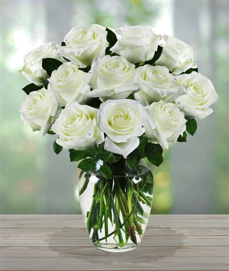 White Sympathy Roses | Avas Flowers