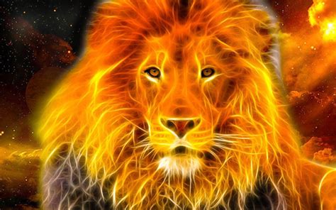 Lion Fire Wallpapers - Wallpaper Cave