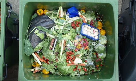 12 Apps Preventing Household Food Waste and Protecting the Planet ...