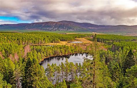 Things to do in Aviemore and the Cairngorms National Park