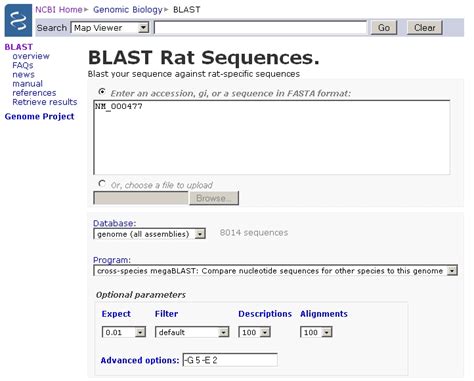 BLAST: Basic Local Alignment Search Tool