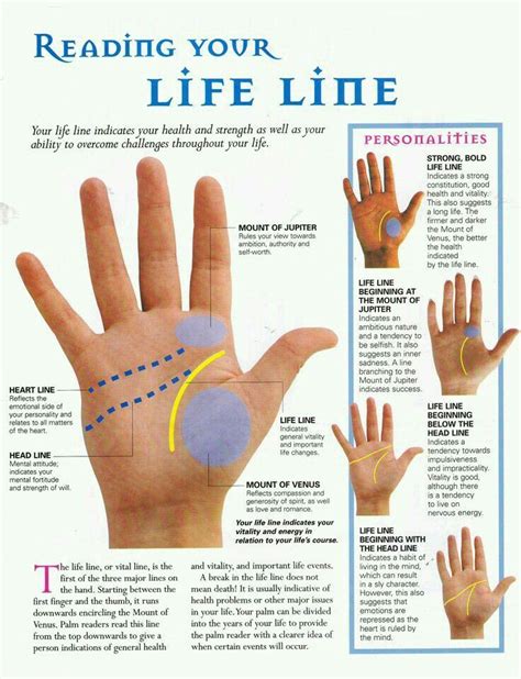 Palm reading | Palm reading, Palmistry, Palm reading charts