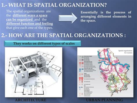 PPT - SPATIAL ORGANIZATION PowerPoint Presentation - ID:2528599