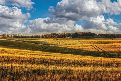 Beautiful Latvian Nature at Sunset Stock Image - Image of background, baltic: 122400701