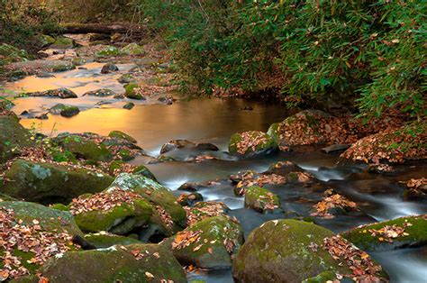 Warm Tones Of The Roaring Fork | Roaring Fork Region, Great Smoky Mountains National Park | The ...