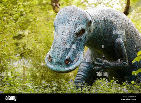 Anatosaurus High Resolution Stock Photography and Images - Alamy