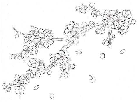 Pin by 뫼람 박 on Japanese | Cherry blossom drawing, Flower drawing ...