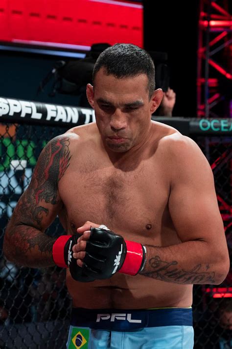 Fabricio Werdum- A Pro MMA Fighter