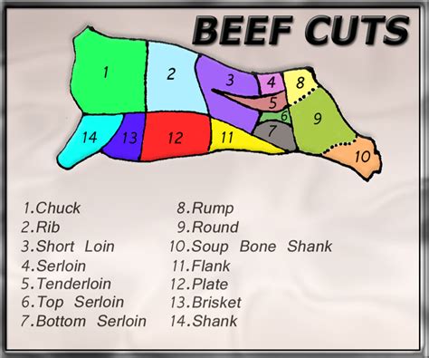 Primal Beef Cuts Chart