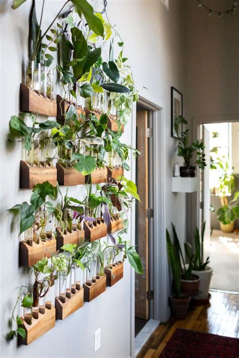 The Most Popular House Tour Photos from 2019 on Pinterest | Easy house plants, Hanging plants ...