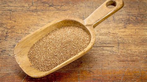 Teff | grain | Britannica