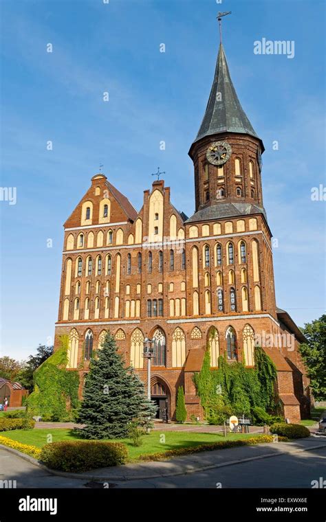 Koenigsberg Cathedral, Kaliningrad, Kaliningrad Oblast, Russia Stock Photo: 85391894 - Alamy