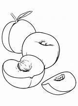 Nectarine Coloring Pages sketch template