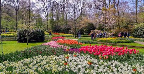 Keukenhof Gardens 2023 | Visit the Amsterdam tulip gardens