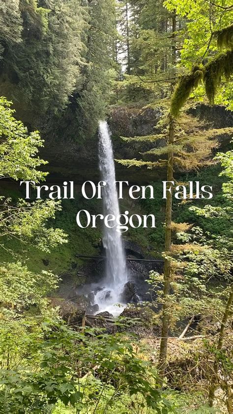 Trail of ten falls silver falls state park oregon – Artofit