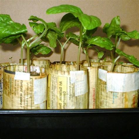 Homemade Indoor Seedling Containers | ThriftyFun