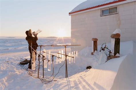 Sheep Farmer Festival | Visit Greenland