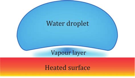 The Leidenfrost effect, formation of a vapour layer protecting the ...