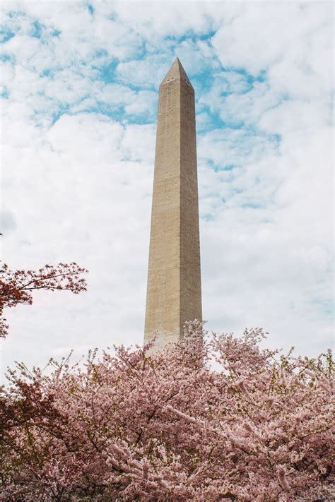 Washington Monument (Tickets, Visiting Tips and More)