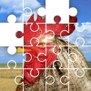 Chicken Jigsaw Puzzle - JigZone.com