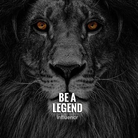 Lion Motivation Wallpapers - Wallpaper Cave