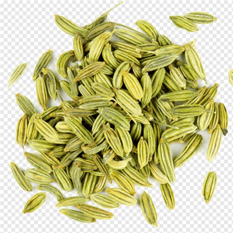 Fennel Spice Flavor Seed Fenugreek, others, nutrition, grocery Store ...