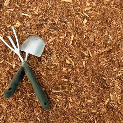 Mulching Tips | Cardinal Lawns