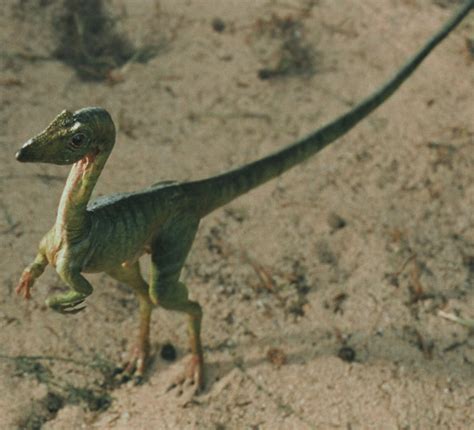 Compsognathus (Film Universe) - Jurassic Outpost Encyclopedia