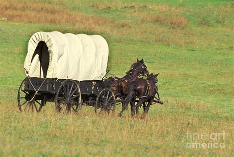 Team Of Horses Pulling A Covered Wagon Photograph by Ron Sanford - Pixels