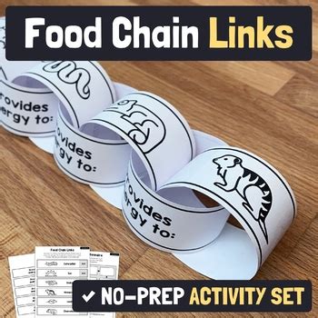 Food Chain Activity | Animal Ecosystem Food Chain Craft, No Prep Science Project